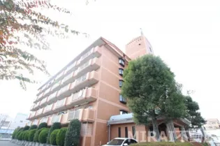 ドルミイヌイの画像