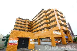 BEEBEEGRANDEの画像