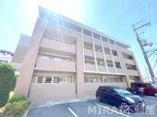 ステラコートの画像