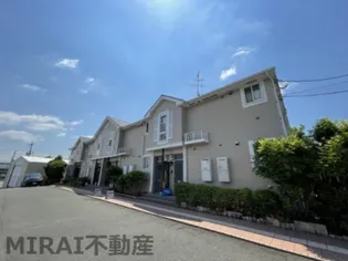 ビバ ユズの画像