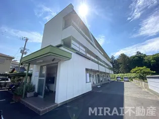 藤ハイツ【2階】の外観