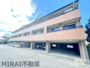 サンライズ フジの画像