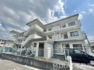 グランドハイツ杉田IIの画像