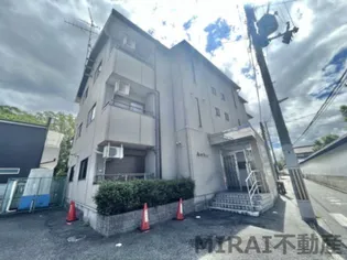 アンバーの画像