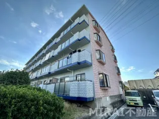 グレープコートの画像