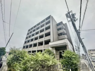 ドマーニの画像