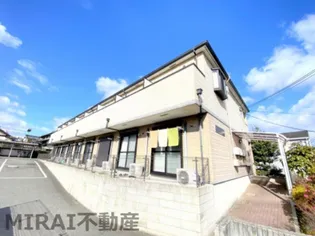 パーシモンフィールドの画像