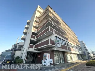 メゾン白鳥【5階】の外観