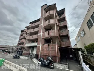 パレボンシャンスの画像