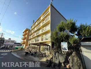 アマルフィの画像