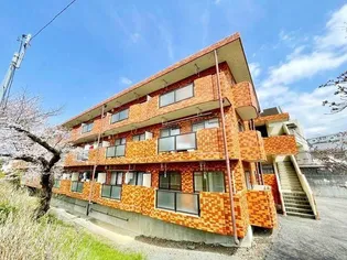 キャンベル30の画像
