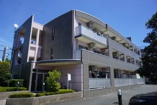 シャン リヴィエールの画像
