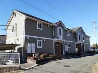 ベルフラワーの画像