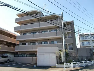 エステルハージーBの画像