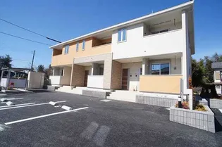 R プリムラの画像