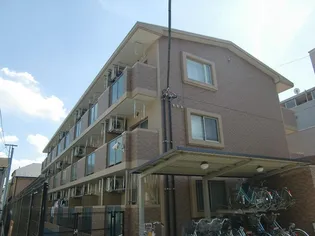 メアリーの画像