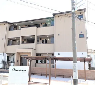 PRIMAVERAの画像
