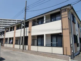 サン エースIIの画像