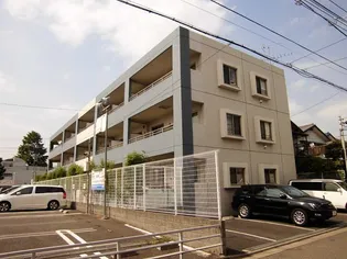 ミ ヴィーダの画像