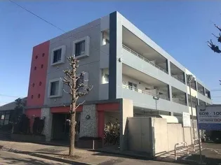 ミ ヴィーダの画像