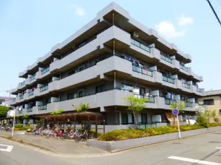 フローレンスMORITAの画像
