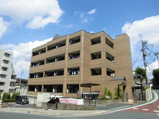 Y‘Sディオーレの画像