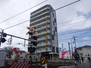 ロゼットIIIの画像