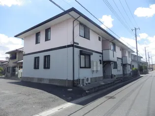 セントポーリアの画像