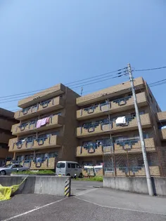 シャルムベルシーの画像