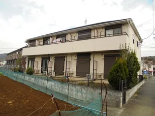 フジメイトCの画像