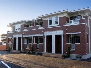 エトワールタマの画像