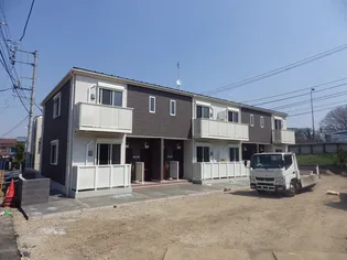 アムールの画像