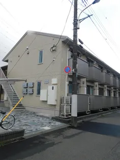 ステラの画像