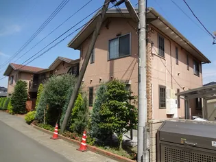 ウィルガーデンの画像