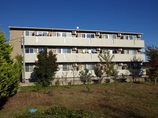 ドエル79【2階】の外観