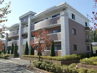 プレミアムコートみなみ野Iの画像