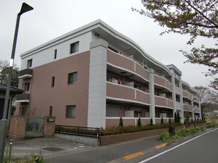プレミアムコートみなみ野IIの画像