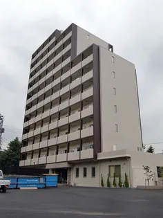 アクセルコートの画像