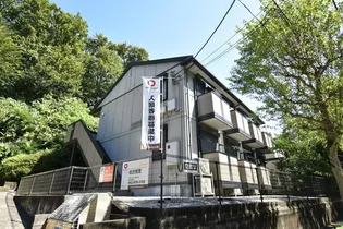 シャルマンの画像