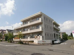 フェスタの画像