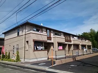 プラシードの画像