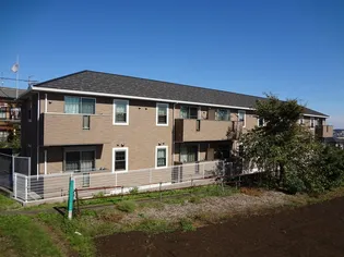 オルタンシアの画像