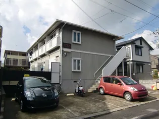 シングルTの画像