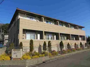 グレイスAの画像