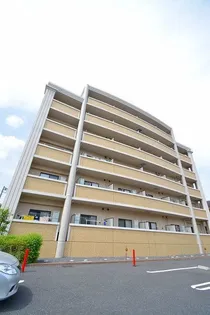 プレイン ステージの画像