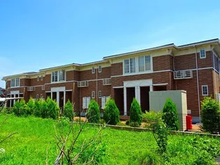 スタニングプレイスVの画像