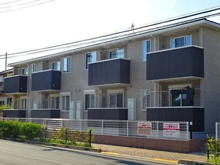 桜 コートの画像