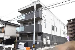 シャルマンYの画像