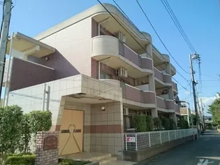 オレンジ ヒルの画像