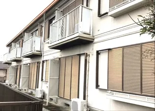 パレスイソマの画像